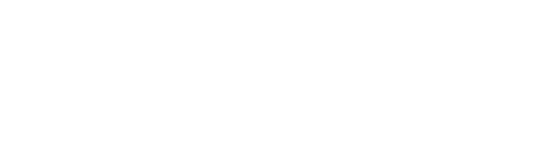 ECOMMERCE_800
