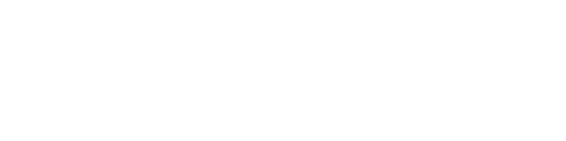 FORMULACION_800
